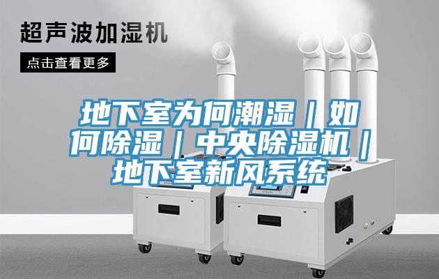 地下室為何潮濕｜如何除濕｜中央草莓污视频在线看｜地下室新風係統