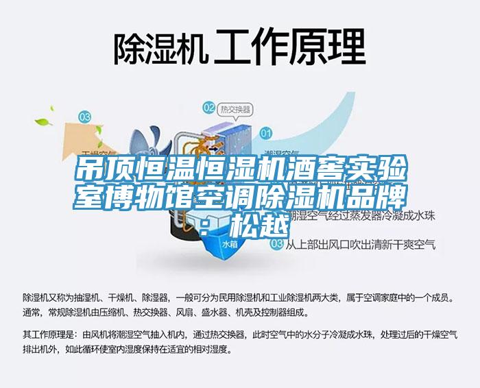 吊頂恒溫恒濕機酒窖實驗室博物館空調草莓污视频在线看品牌：鬆越