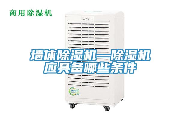 牆體草莓污视频在线看—草莓污视频在线看應具備哪些條件