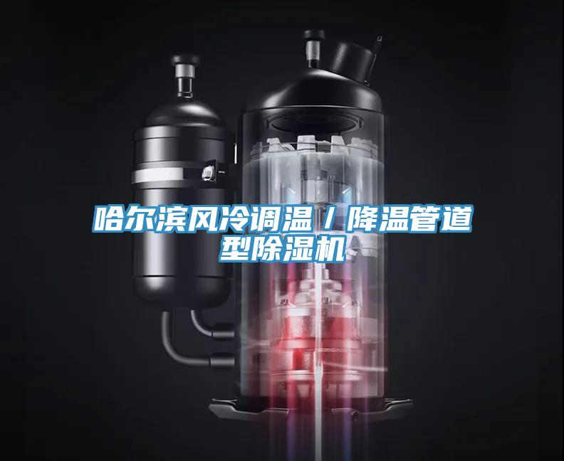 哈爾濱風冷調溫／降溫管道型草莓污视频在线看