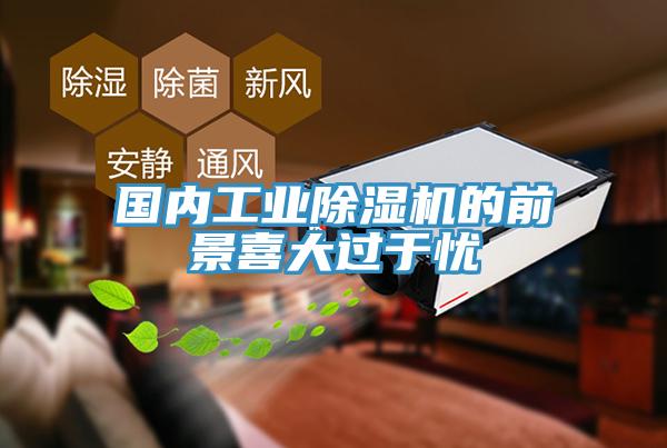 國內工業草莓污视频在线看的前景喜大過於憂