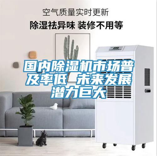 國內草莓污视频在线看市場普及率低 未來發展潛力巨大