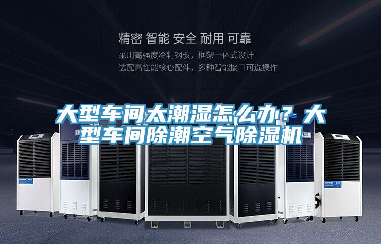 大型車間太潮濕怎麽辦？大型車間除潮空氣草莓污视频在线看