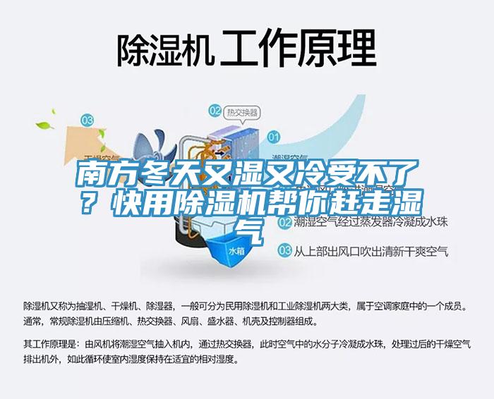 南方冬天又濕又冷受不了？快用草莓污视频在线看幫你趕走濕氣