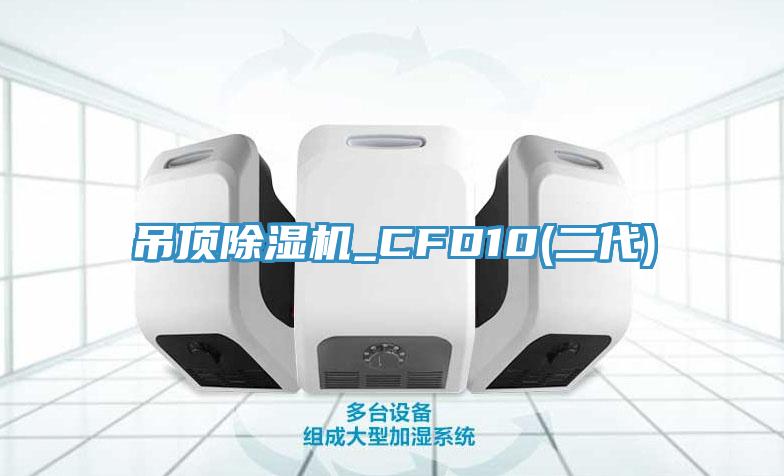 吊頂草莓污视频在线看_CFD10(二代)