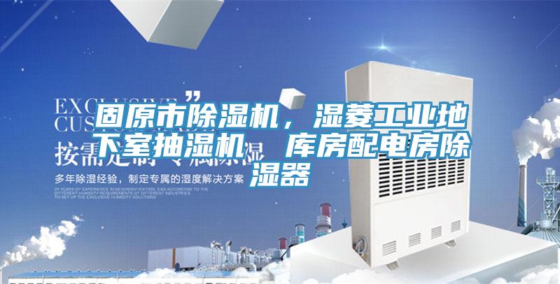 固原市草莓污视频在线看，濕菱工業地下室抽濕機  庫房配電房除濕器