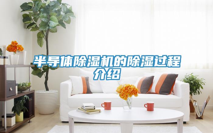 半導體草莓污视频在线看的除濕過程介紹