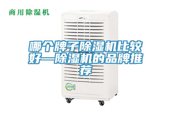 哪個牌子草莓污视频在线看比較好—草莓污视频在线看的品牌推薦