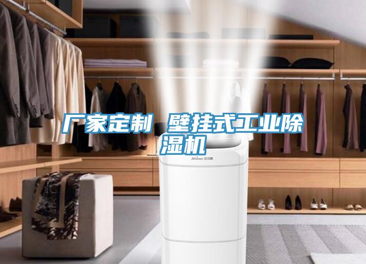 廠家定製 壁掛式工業草莓污视频在线看