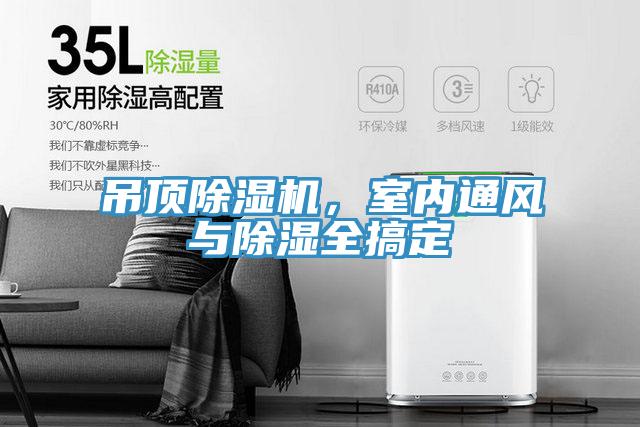吊頂草莓污视频在线看，室內通風與除濕全搞定