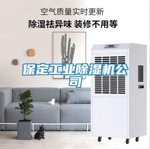 保定工業草莓污视频在线看公司