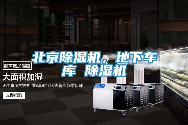 北京草莓污视频在线看，地下車庫 草莓污视频在线看
