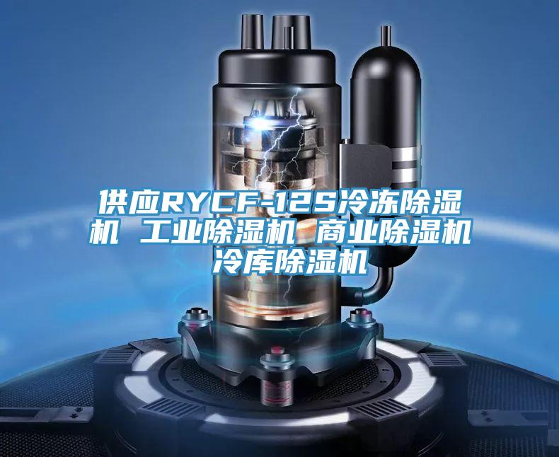 供應RYCF-12S冷凍草莓污视频在线看 工業草莓污视频在线看 商業草莓污视频在线看 冷庫草莓污视频在线看