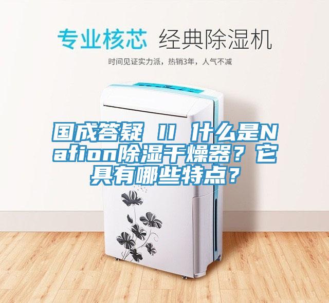 國成答疑 II 什麽是Nafion除濕幹燥器？它具有哪些特點？