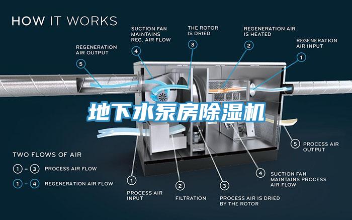 地下水泵房草莓污视频在线看