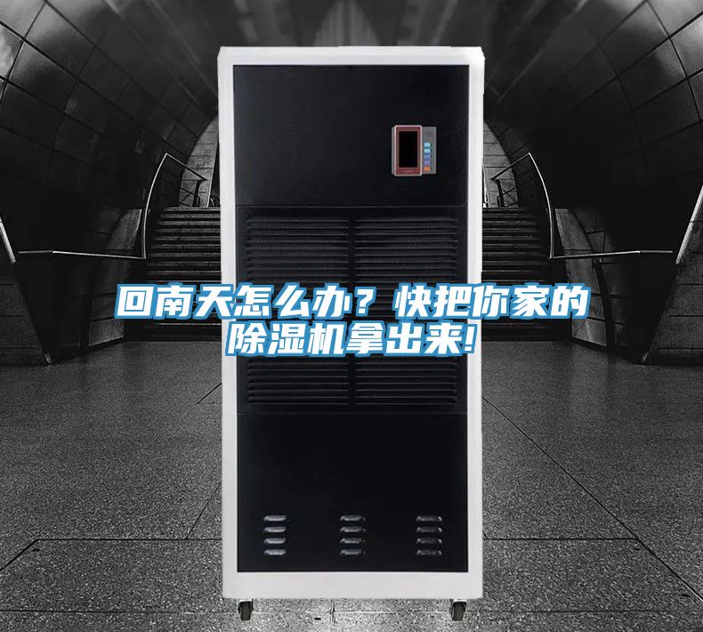 回南天怎麽辦？快把你家的草莓污视频在线看拿出來!
