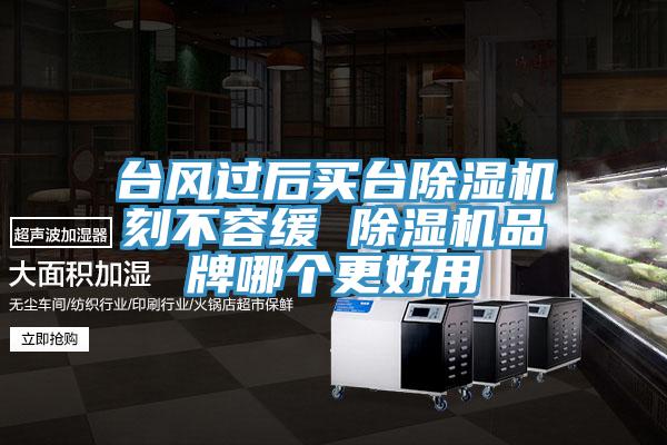 台風過後買台草莓污视频在线看刻不容緩 草莓污视频在线看品牌哪個更好用