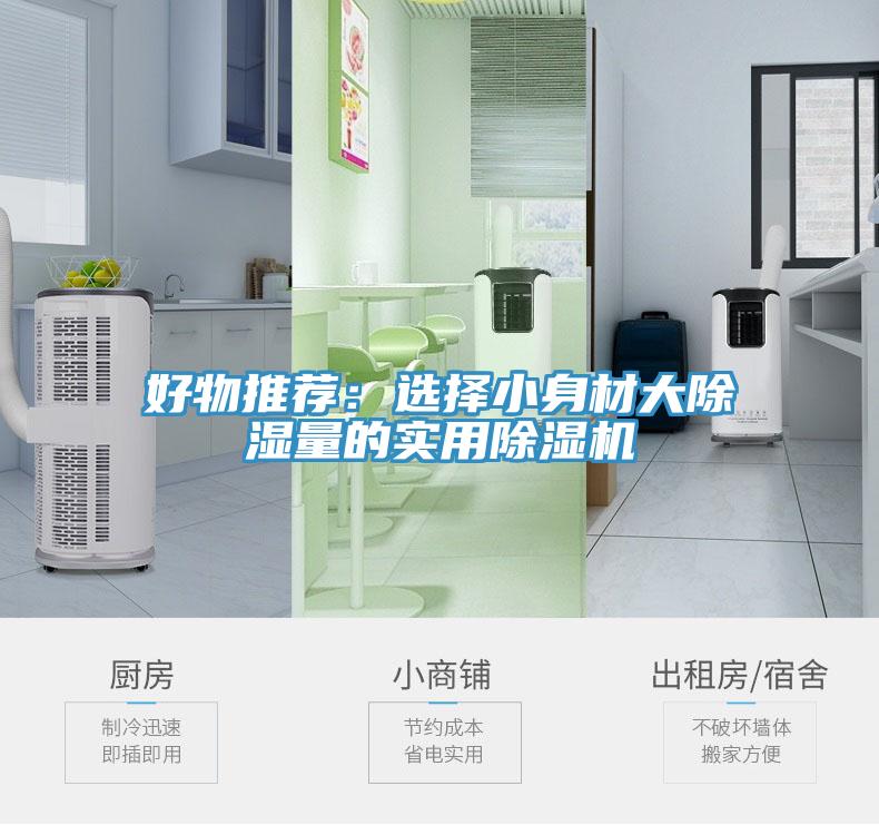 好物推薦：選擇小身材大除濕量的實用草莓污视频在线看