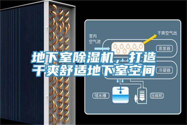 地下室草莓污视频在线看，打造幹爽舒適地下室空間