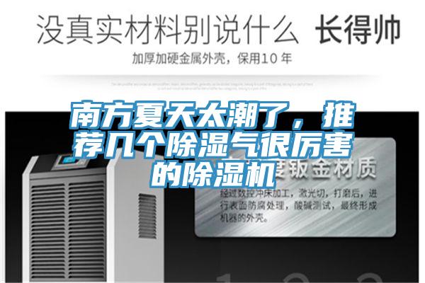 南方夏天太潮了，推薦幾個除濕氣很厲害的草莓污视频在线看