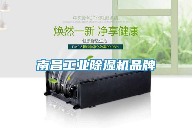 南昌工業草莓污视频在线看品牌