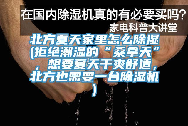 北方夏天家裏怎麽除濕(拒絕潮濕的“桑拿天”，想要夏天幹爽舒適，北方也需要一台草莓污视频在线看)