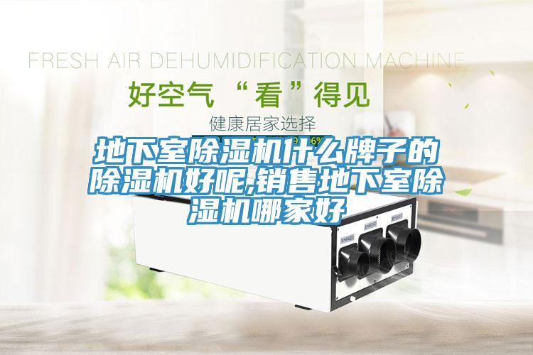 地下室草莓污视频在线看什麽牌子的草莓污视频在线看好呢,銷售地下室草莓污视频在线看哪家好