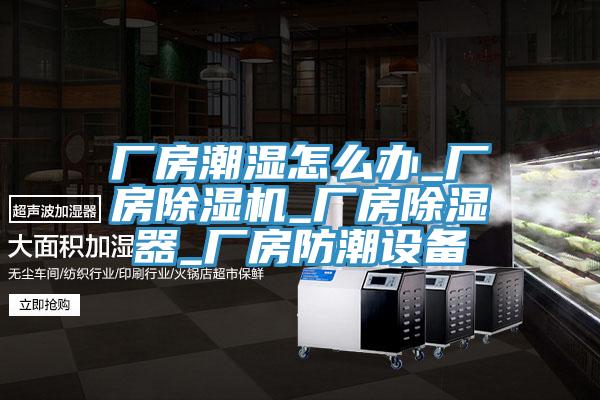 廠房潮濕怎麽辦_廠房草莓污视频在线看_廠房除濕器_廠房防潮設備