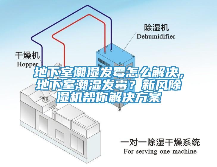 地下室潮濕發黴怎麽解決，地下室潮濕發黴？新風草莓污视频在线看幫你解決方案