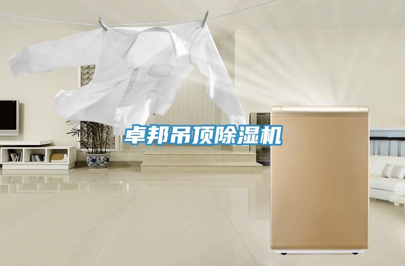 卓邦吊頂草莓污视频在线看