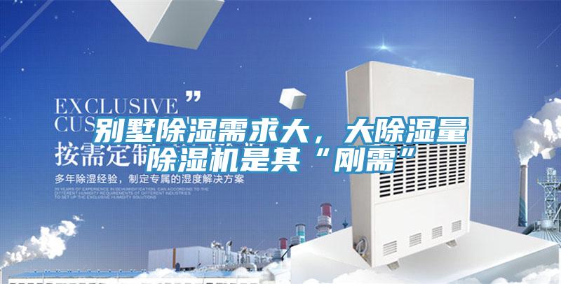 別墅除濕需求大，大除濕量草莓污视频在线看是其“剛需”