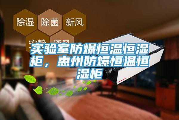 實驗室防爆恒溫恒濕櫃，惠州防爆恒溫恒濕櫃