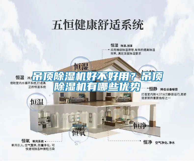 吊頂草莓污视频在线看好不好用？吊頂草莓污视频在线看有哪些優勢