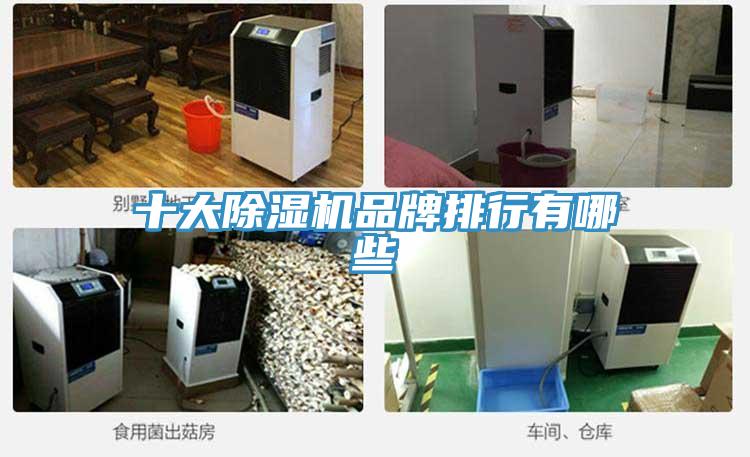 十大草莓污视频在线看品牌排行有哪些