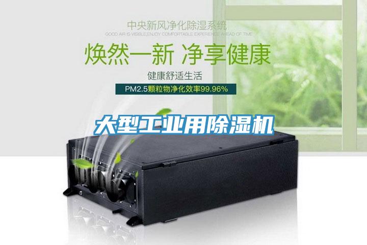 大型工業用草莓污视频在线看