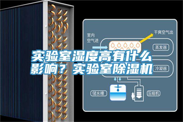 實驗室濕度高有什麽影響？實驗室草莓污视频在线看