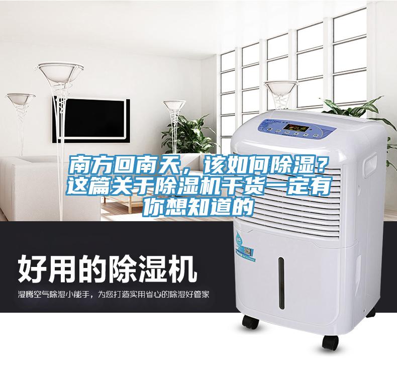 南方回南天，該如何除濕？這篇關於草莓污视频在线看幹貨一定有你想知道的
