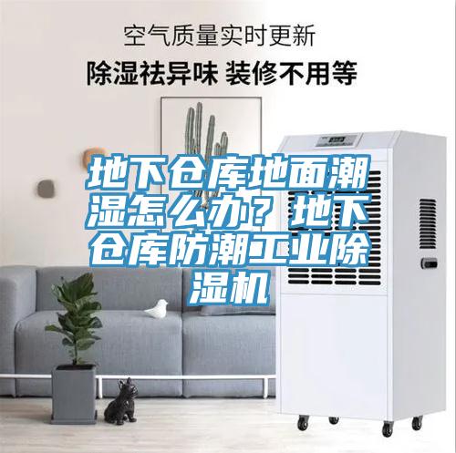 地下倉庫地麵潮濕怎麽辦？地下倉庫防潮工業草莓污视频在线看