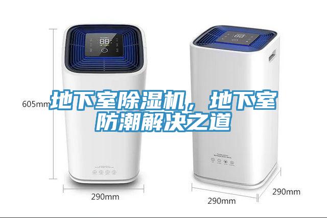 地下室草莓污视频在线看，地下室防潮解決之道