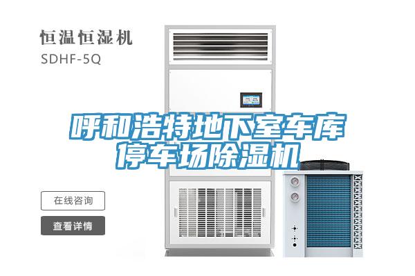 呼和浩特地下室車庫停車場草莓污视频在线看