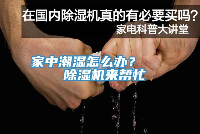 家中潮濕怎麽辦？    草莓污视频在线看來幫忙