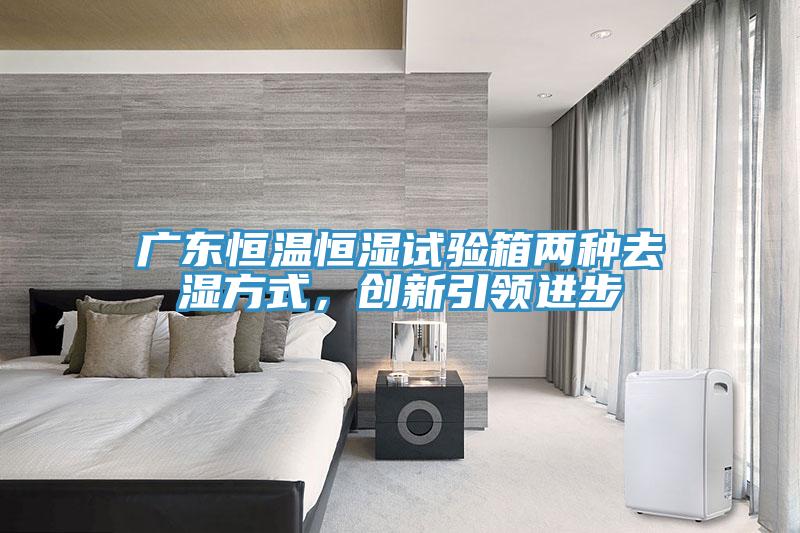 廣東恒溫恒濕試驗箱兩種去濕方式，創新引領進步