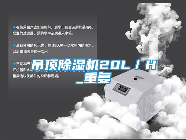 吊頂草莓污视频在线看20L／H_重複