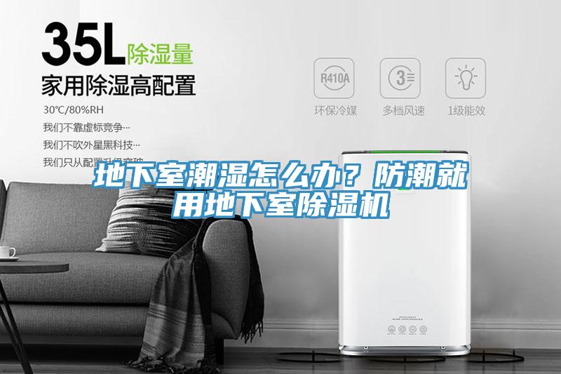 地下室潮濕怎麽辦？防潮就用地下室草莓污视频在线看
