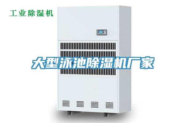 大型泳池草莓污视频在线看廠家