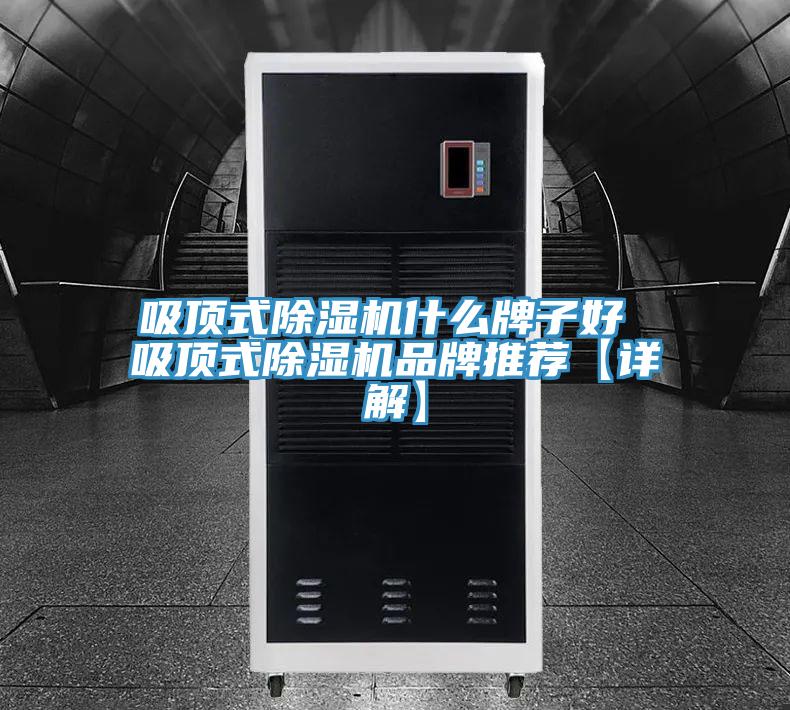 吸頂式草莓污视频在线看什麽牌子好 吸頂式草莓污视频在线看品牌推薦【詳解】