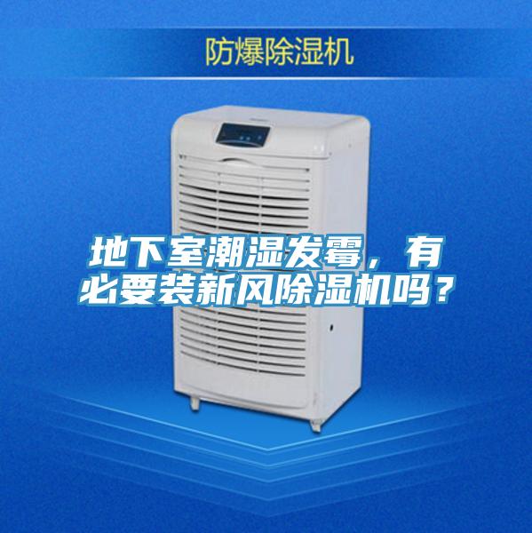 地下室潮濕發黴，有必要裝新風草莓污视频在线看嗎？