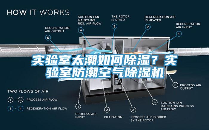 實驗室太潮如何除濕？實驗室防潮空氣草莓污视频在线看