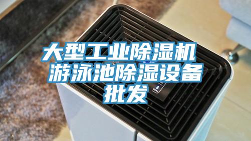 大型工業草莓污视频在线看 遊泳池除濕設備批發