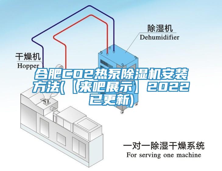 合肥CO2熱泵草莓污视频在线看安裝方法(【來吧展示】2022已更新)